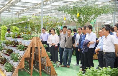 通渭县新进乡镇领导班子成员开展新材料技术推广服务观摩学习活动